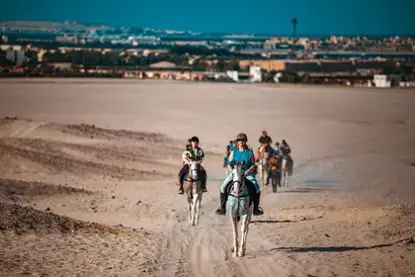 Guided Camel & Horse Riding